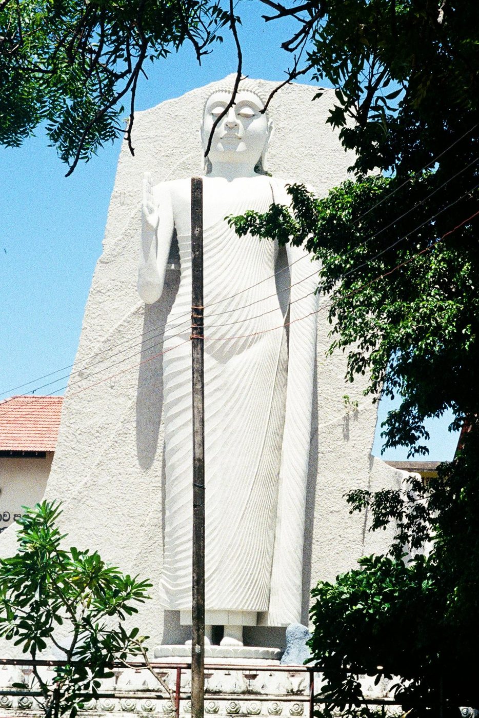 A tall white Buddha statue framed by dark trees and blue sky